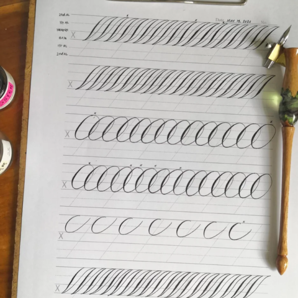 Specialized Course on Regular Script Radicals and Components